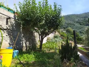 Casa da Rota Dos Moinhos