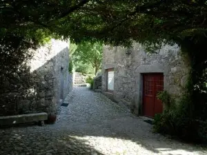 Casa da Eira de Moledo