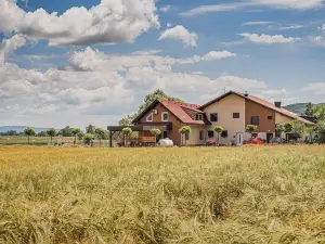 Lux Living Apartment Budic