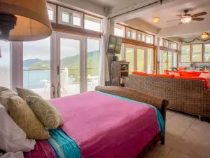 'Tortola Adventure' Private Villa: Ocean-View Pool