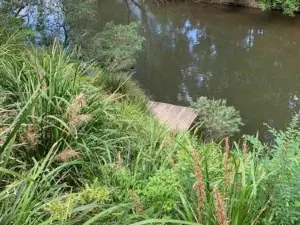 Williams River Retreat