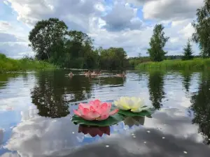 River House