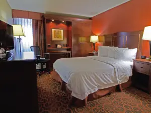 햄프턴 인 노퍽/체서피크 - 그린브리어 에어리어