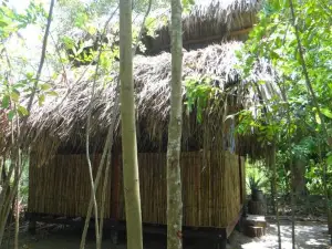 Eco-Camping Mango Feliz Rincon del Mar