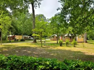Camping Etang de la Vallée