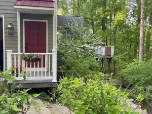 Large Open Suite nestled among the Trees
