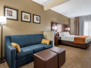 Comfort Suites Auburn Near I-69