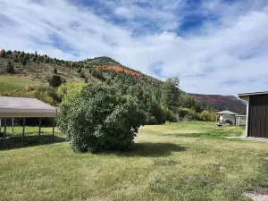 2 separate cabins, sleeps a total of 12, on 4 acres in Lava Hot Springs!!