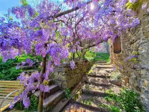 Maison d'hôtes - Mas de Boissière