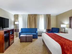 Comfort Inn Hoffman Estates - Schaumburg