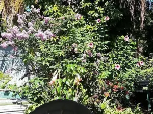 Powell's Guesthouse