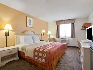 Super 8 by Wyndham Clearwater/St. Petersburg Airport