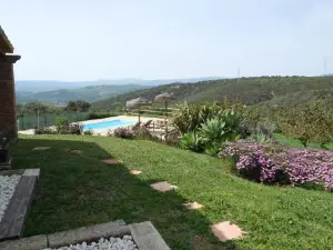 The Wild Olive Andalucia Palma Guestroom