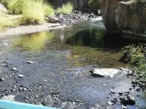 Alpine Vacation Rental