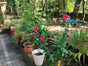 Sneh Beach Homestay - Wayangani Vengurla