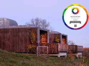 Bétula Studios