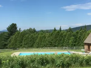 Wonderful VT Get Away, Great Family Fun, with WiFi.
