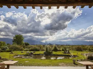 Casa de Huéspedes Bodega Gimenez Riili