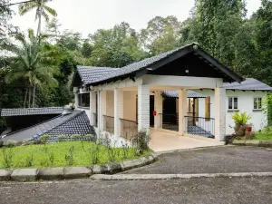 LilyJo's Modern Treehouse Serendah