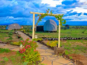 Amanya 1 -Bed King Lion Tent