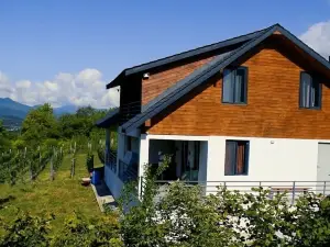 House in the Vineyard