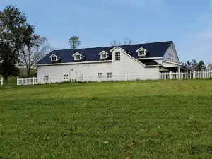 New River Gorge National Park4 Bedroom 2 Bathroom