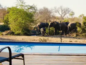 Masodini Private Game Lodge
