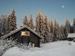 Puolukka