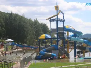 Domki Kolonia Leśna z sauną