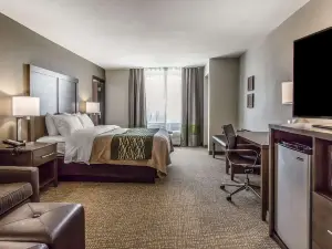 Comfort Inn & Suites Snyder