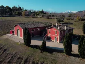 Cantina d'Erasmo - Camere e Degustazioni