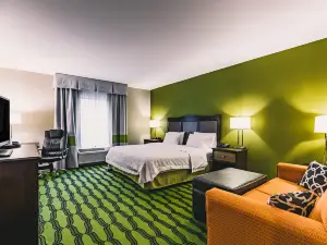 Hampton Inn Niagara Falls/Blvd