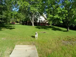 Savage Lake Lodge. Waterfront/Waterfalls 3BD/ 2BA  Sleeps 10+