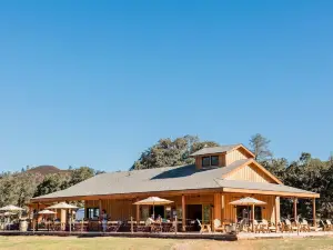 Huttopia Wine Country