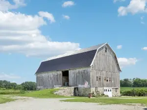 Relaxing Spacious Farmhouse with Fire-Pit and Family Friendly Amenities