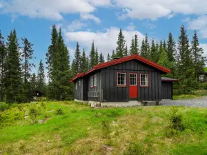Liaråket