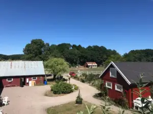 Tuvagård B&B Vindhästar