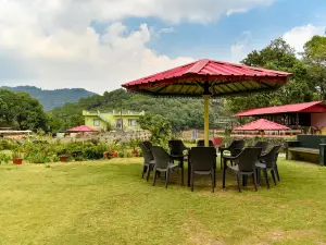 Charekh Food & Forest Resort