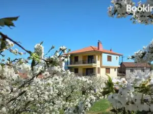 House Venetia