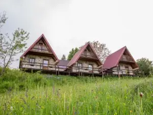 Etno Village Vojnik