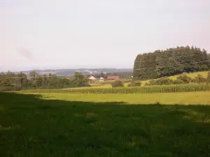 Horsehillcenter