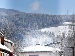 Die MÜHLE #10
