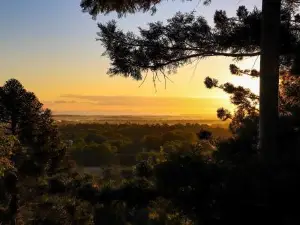 Rainforest Gardens - Luxury Hillside Accommodation with Views to Bay & Islands