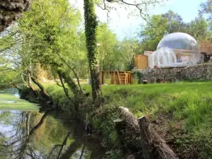 La Bulle étoile