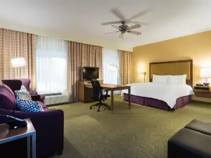 햄프턴 인 오데사