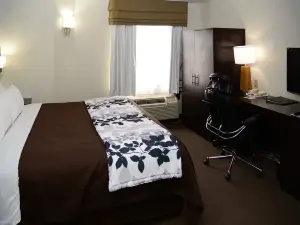 Sleep Inn Horn Lake-Southaven