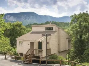 폭스 런 앳 레이크 러어