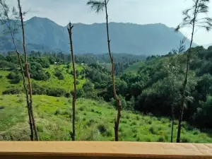 Lava View Lodge