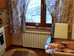Apartments in Shlisselburg