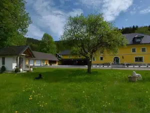 Tameggerhof